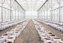 Ekomaxi, Doğru Su Deposu Seçiminin Önemine Değindi